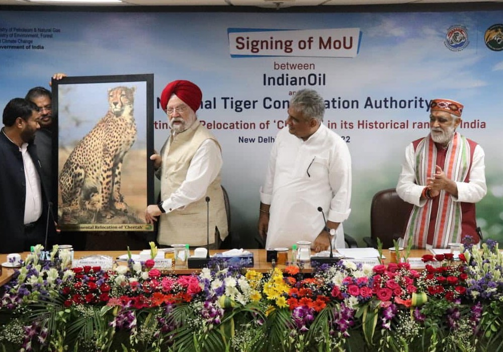 At the Signing of an MoU between Indian Oil Corporation Ltd. & National Tiger Conservation Authority for transcontinental relocation of Cheetah in Kuno National Park, Madhya Pradesh